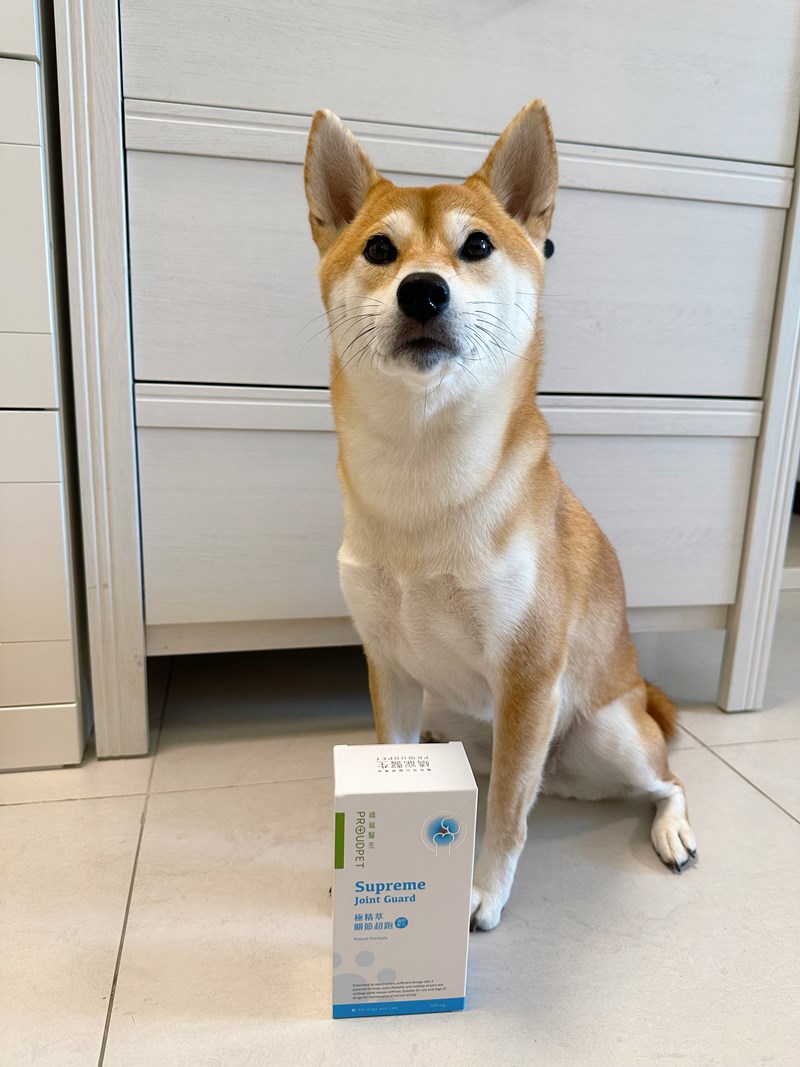 試用